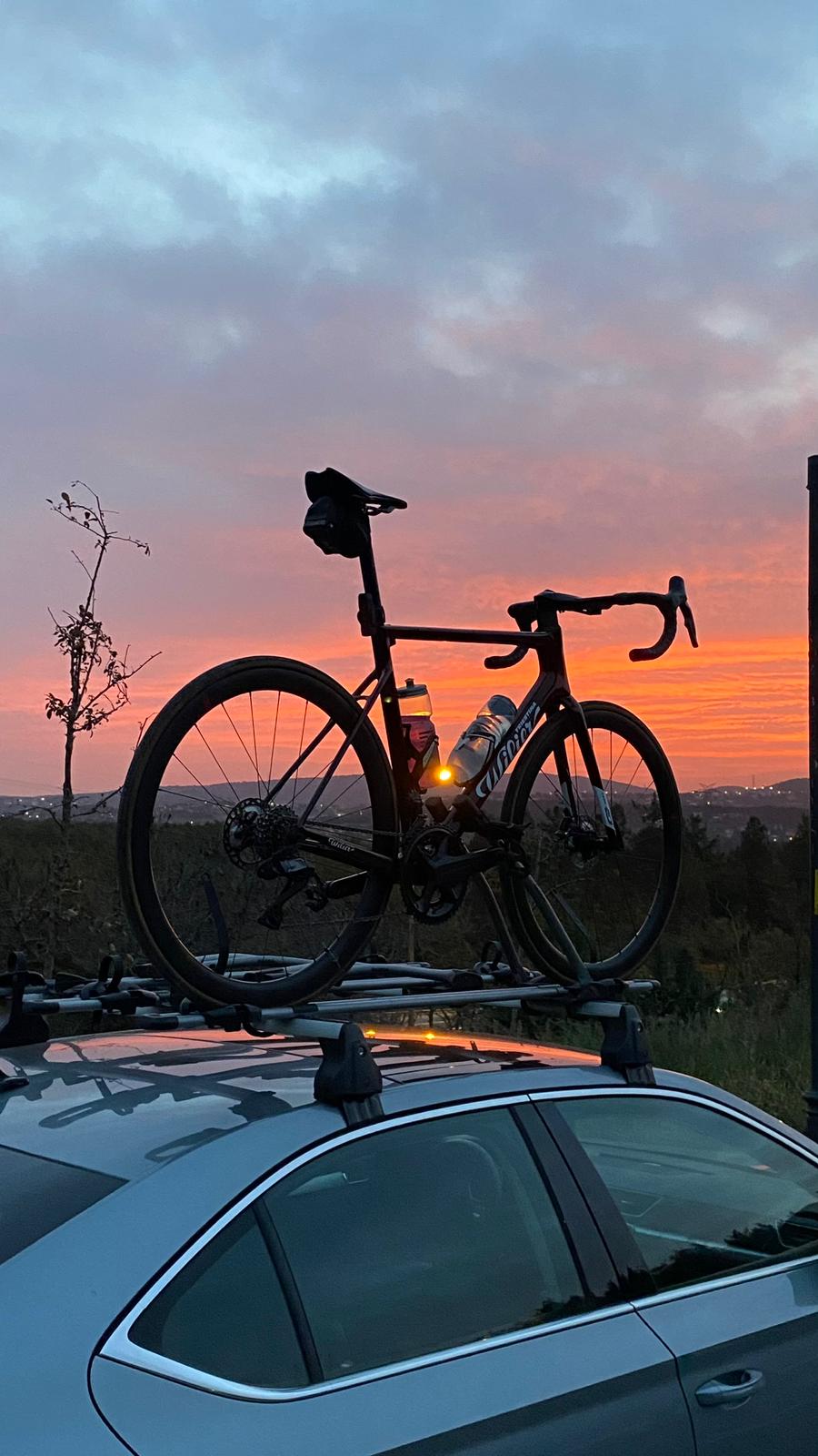 Professional Support